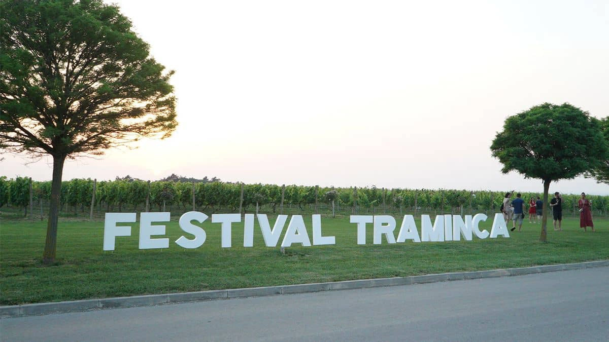 Vinograd sa natpisom Festival Traminca.