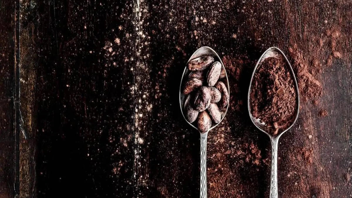 Kakao u prahu, kako lom, čokolada u kašikama na drvenoj dasci