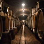 Podrum pun bačvi u buradi sa leve i desne strane .