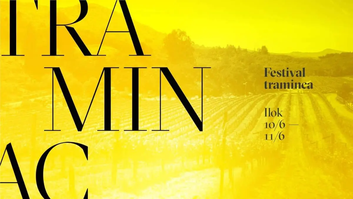 Najava za festival traminca u Iloku.Žuta pozadina kroz koju se naziru vinogradi.