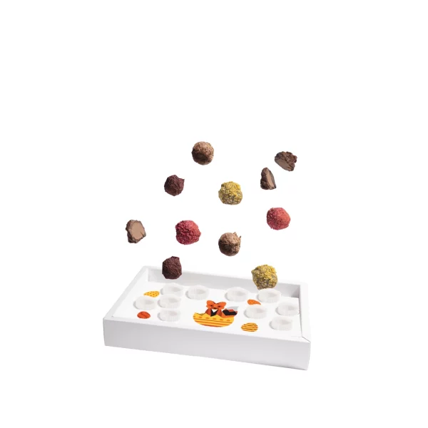 Poklon pakovanje Aguara chocolate čokoladnih kuglica. Bela kutija u kojoj se nalazi deset čokoladnih kuglica sa osnovom nakojoj dominira aguara koja izlazi iz čokoladnog jajeta. Osim nje tu se nalazi još četiri šarena čokoladna jajeta.